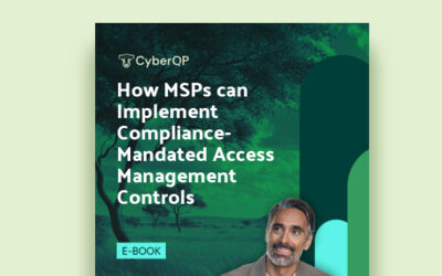 How MSPs can Implement Compliance-Mandated Access Management Controls