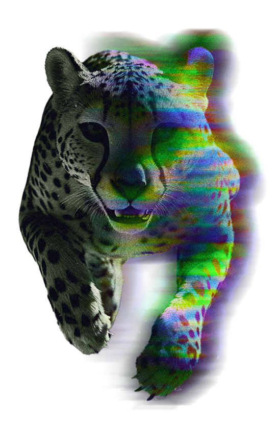 CyberQP