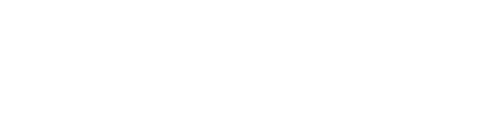 ninja one